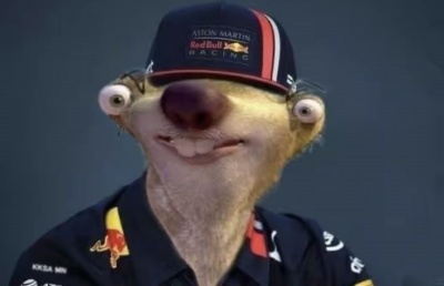 Max Verstappen meme