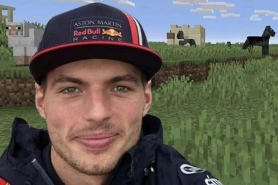 Max Verstappen meme