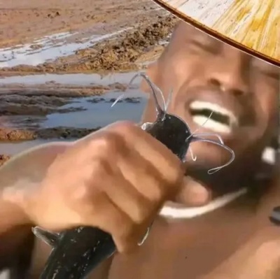 meme ăn ba tô cơm