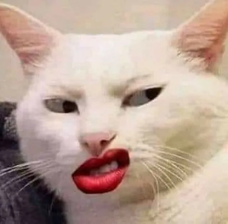 meme bĩu môi