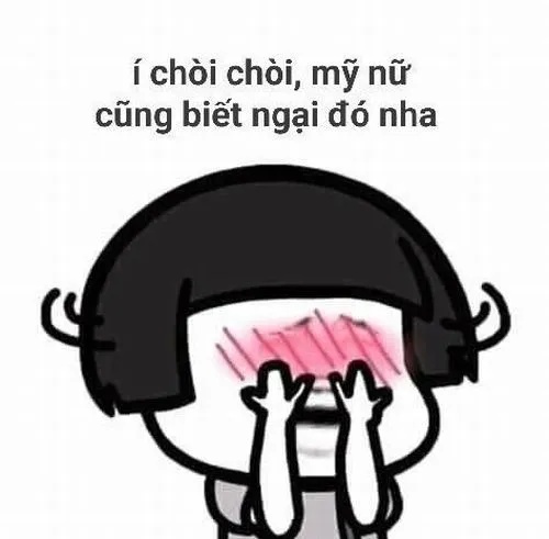 Meme Che Mặt