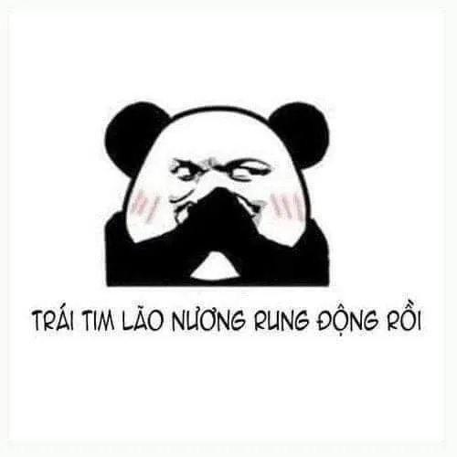 Meme Che Mặt