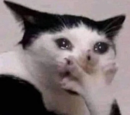 Meme Che Mặt