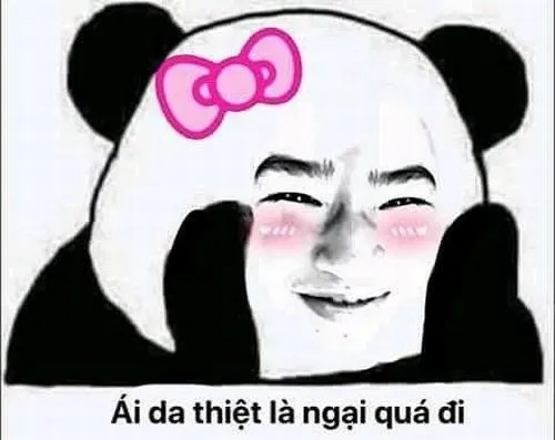 Meme Che Mặt