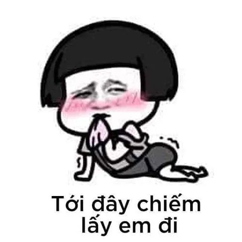 Meme Che Mặt