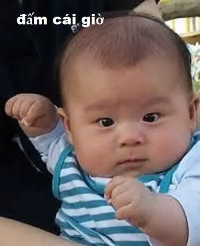 meme đấm