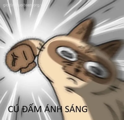 meme đấm