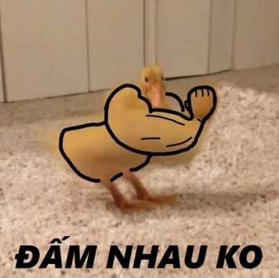meme đấm