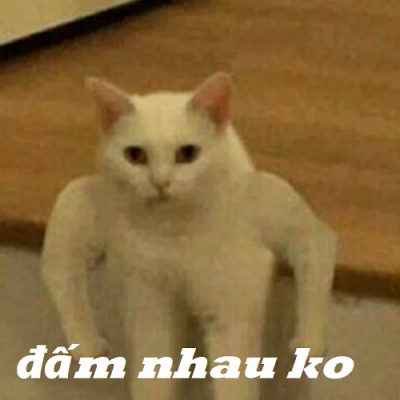 meme đấm