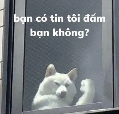 meme đấm