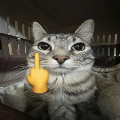 meme fuck