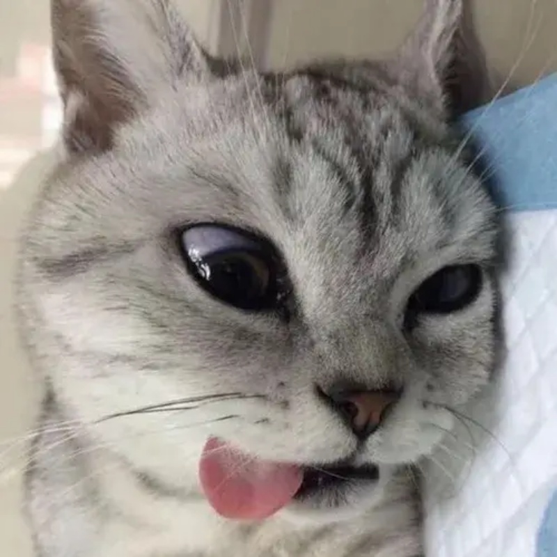 Meme Mệt Mỏi