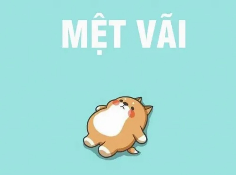 Meme Mệt Mỏi