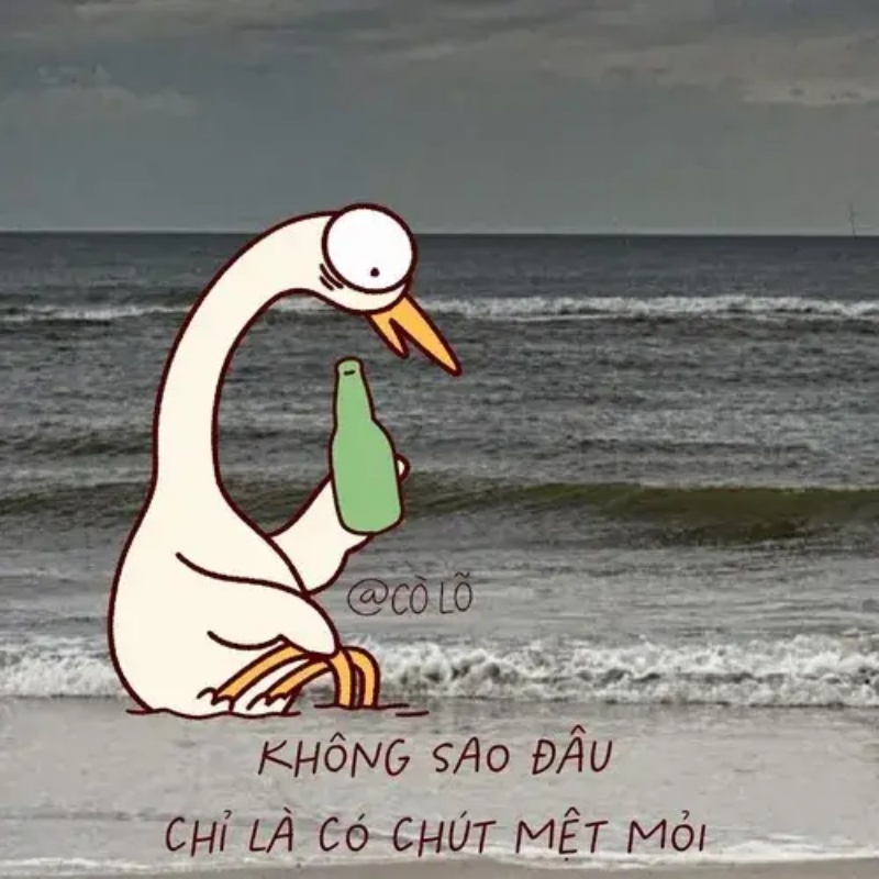 Meme Mệt Mỏi