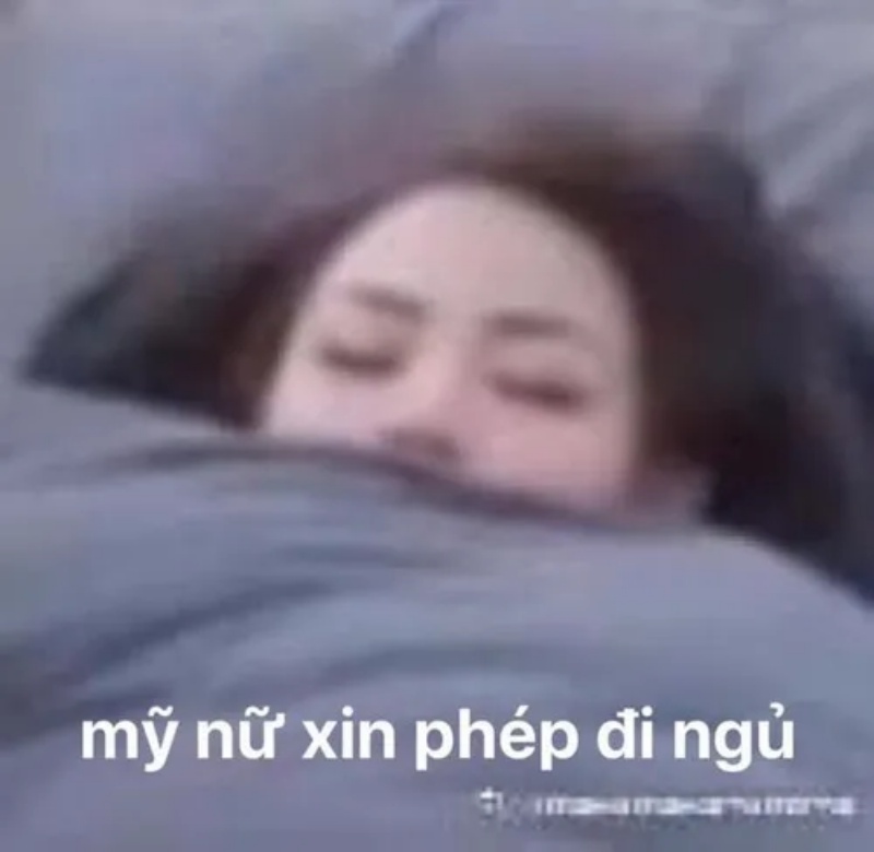 Meme Mệt Mỏi