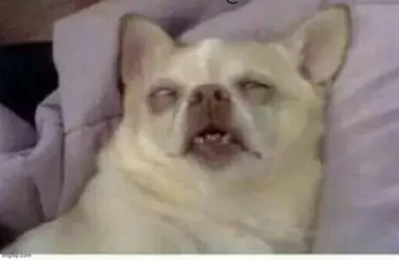 Meme Mệt Mỏi