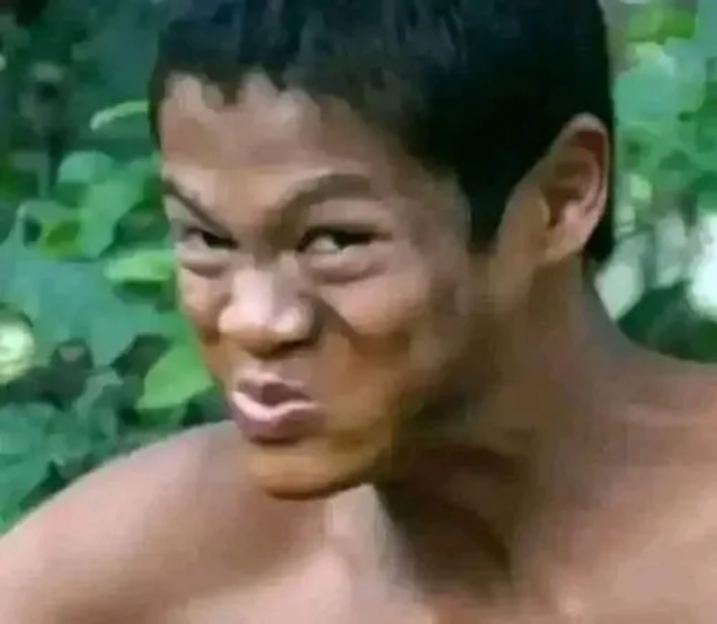 Meme Thiểu Năng