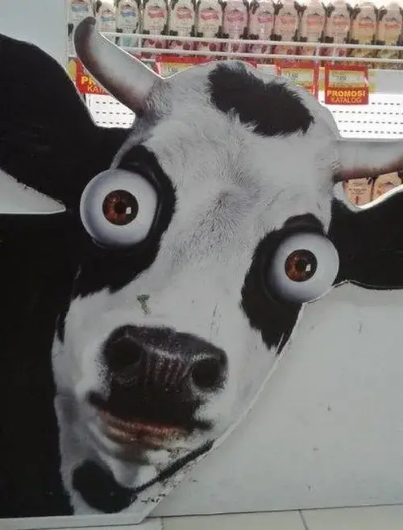 Meme Thiểu Năng