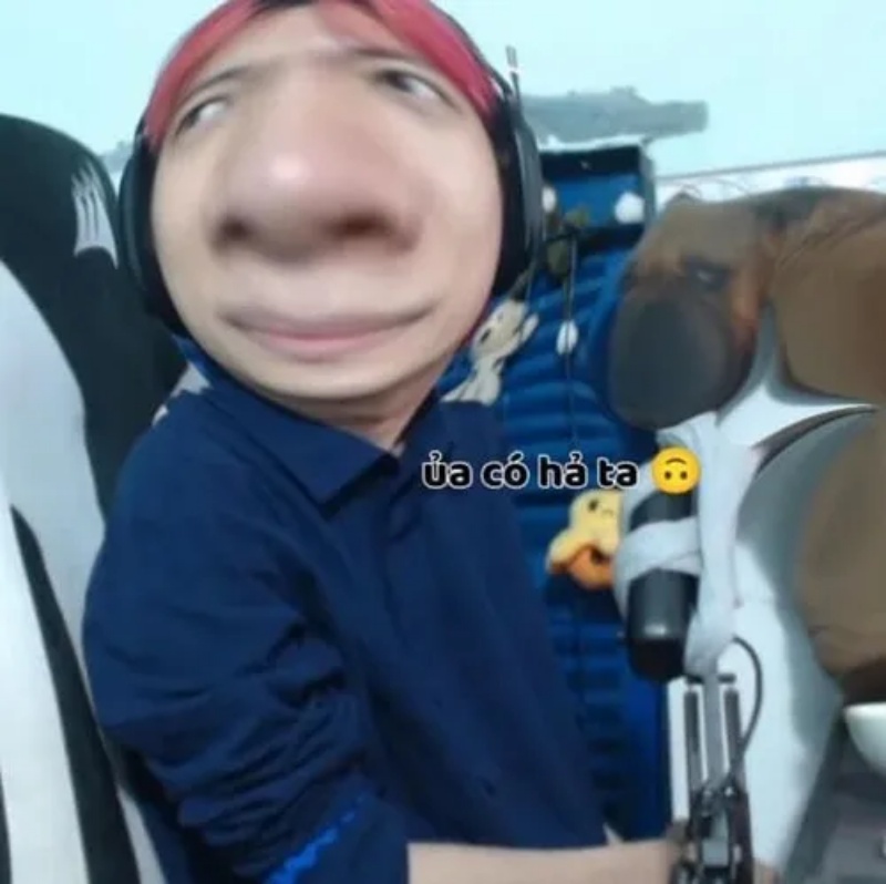 Meme Thiểu Năng