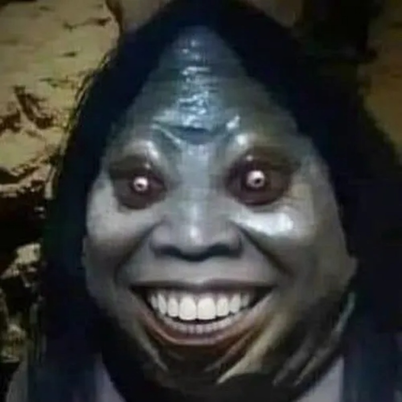Meme Thiểu Năng