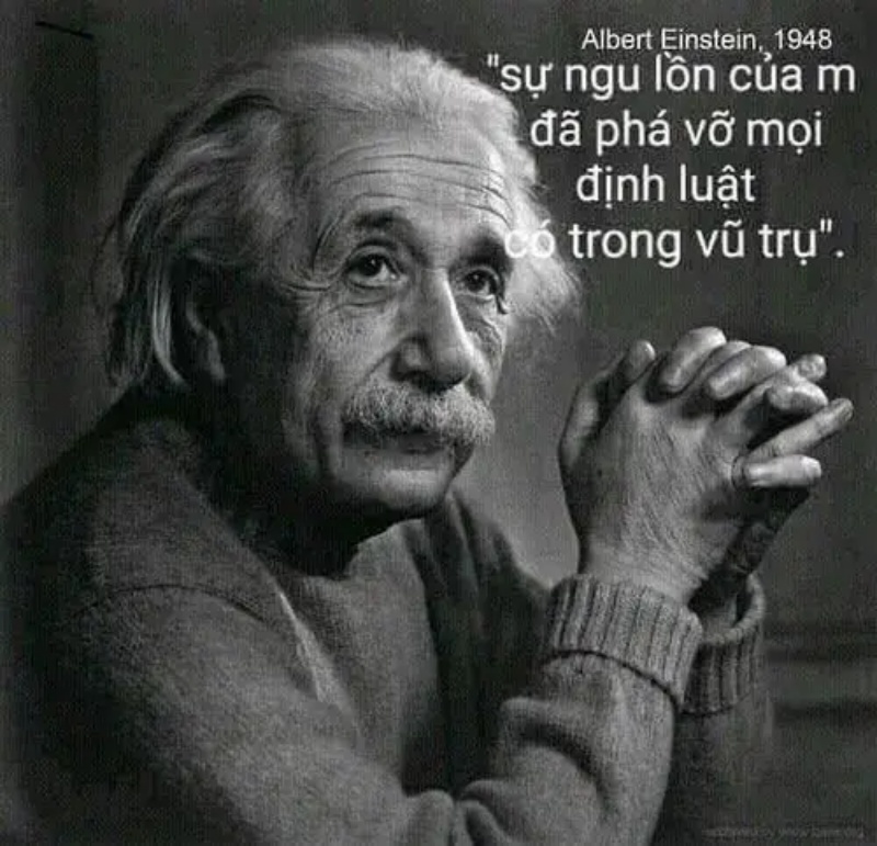 Meme Thiểu Năng