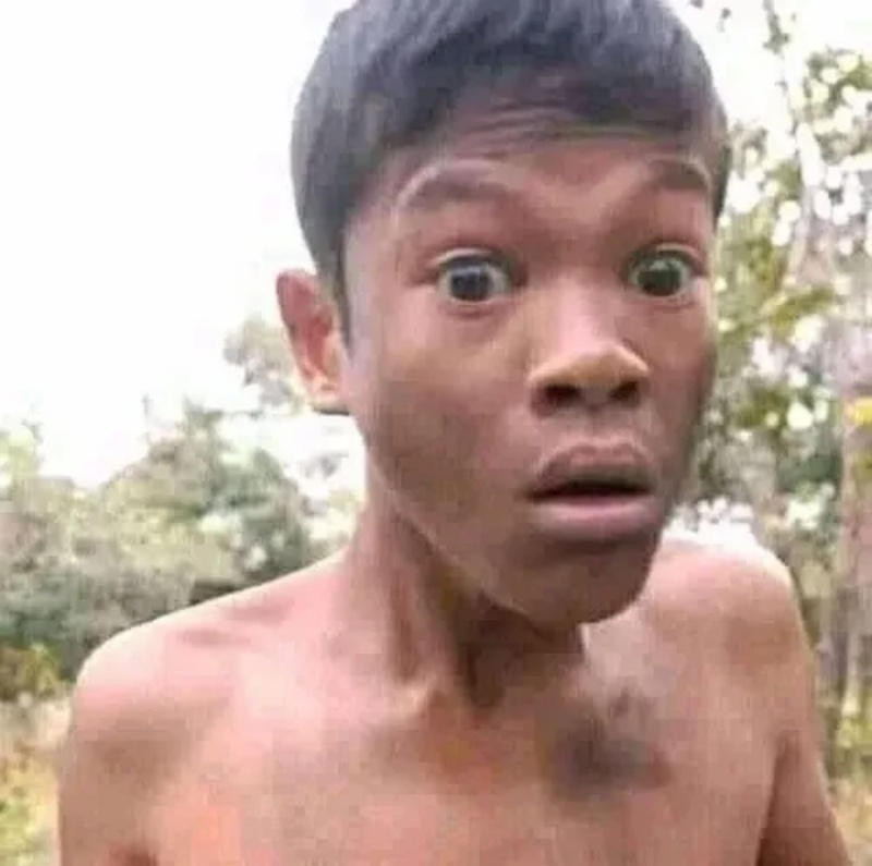Meme Thiểu Năng