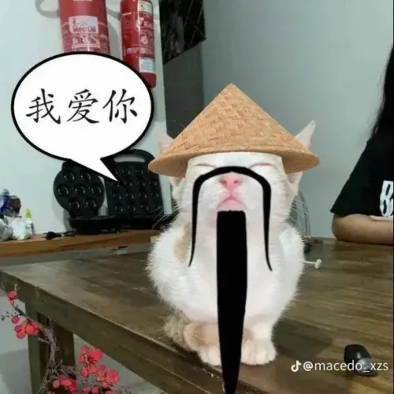 Meme Thiểu Năng