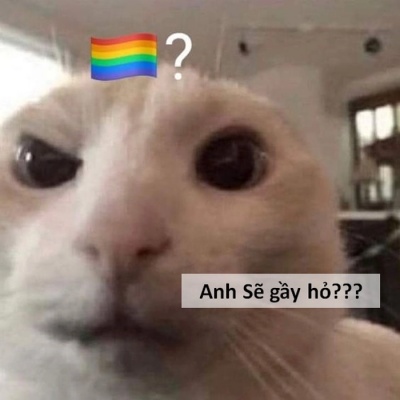 sẽ gầy meme