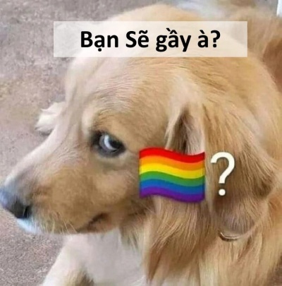 sẽ gầy meme