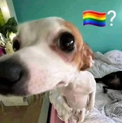 sẽ gầy meme