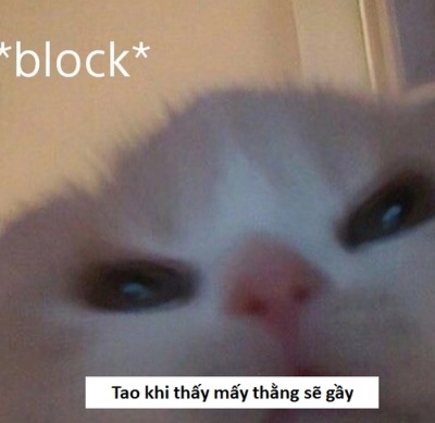 sẽ gầy meme