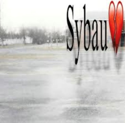 sybau meme
