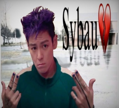 sybau meme