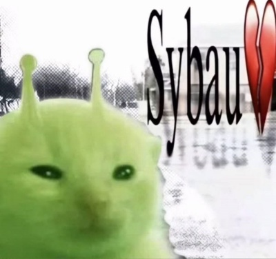 sybau meme