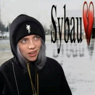 sybau meme