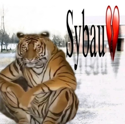 sybau meme