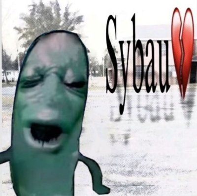 sybau meme