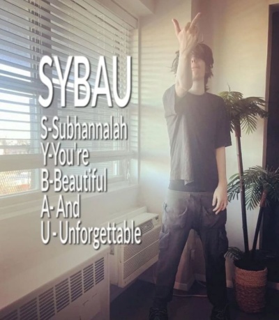 sybau meme