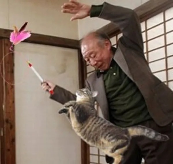 Tokuda Meme